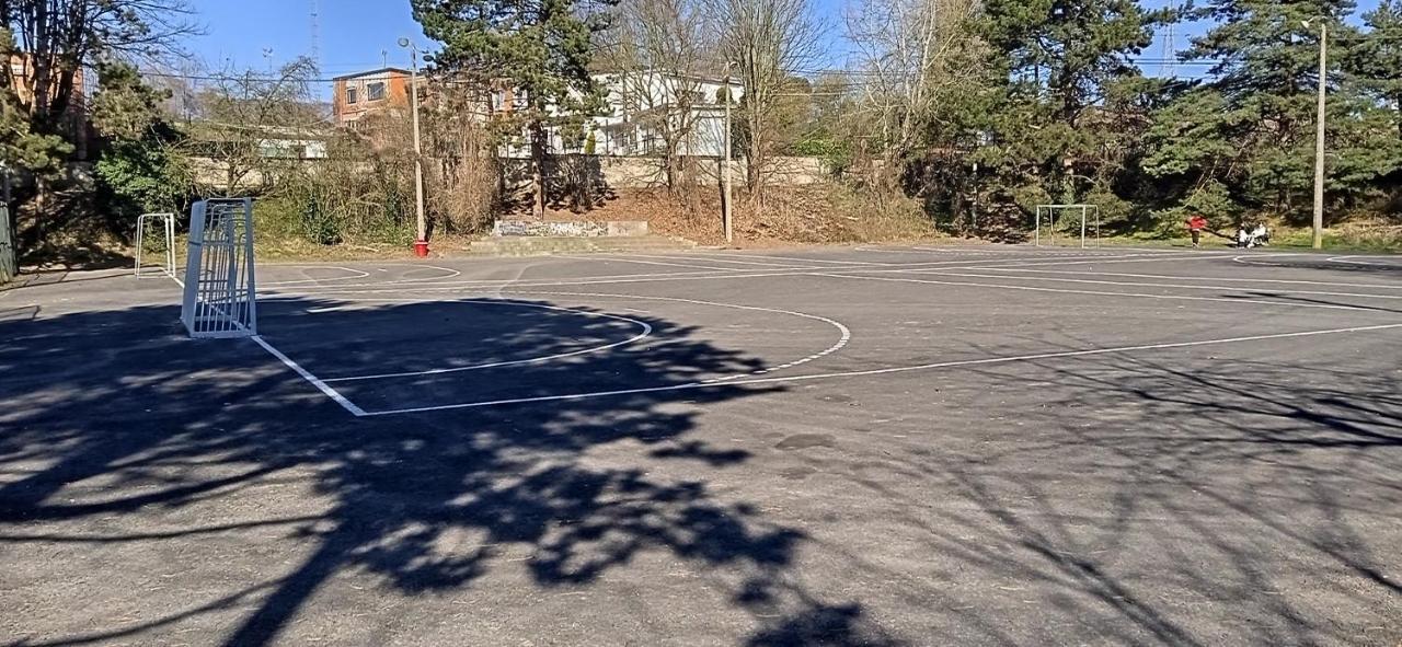 Liege 4420 Rue Jean Jaures 45 Grande Maison Joyeuse Avec Terrasse 30M2 Pour 8 Personnes Maximum Saint-Nicolas  Dış mekan fotoğraf