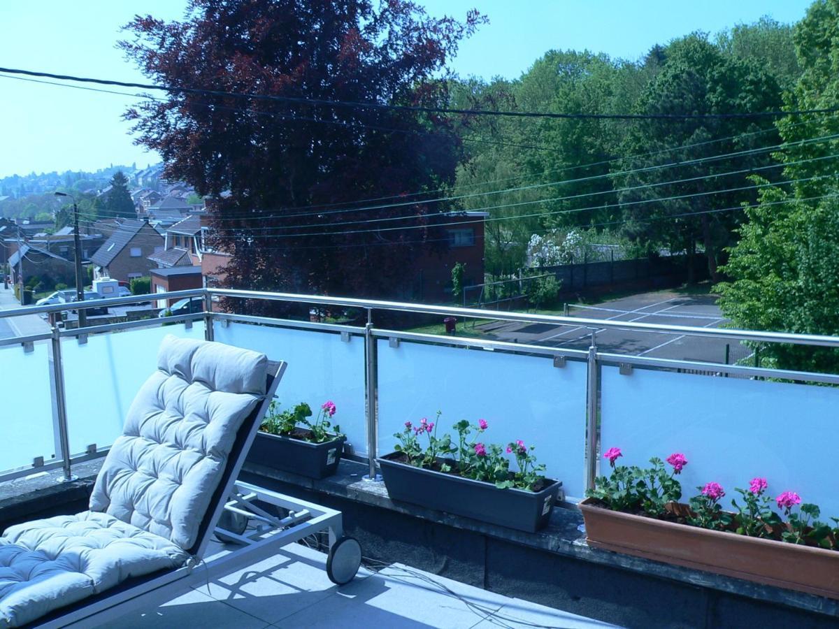 Liege 4420 Rue Jean Jaures 45 Grande Maison Joyeuse Avec Terrasse 30M2 Pour 8 Personnes Maximum Saint-Nicolas  Dış mekan fotoğraf